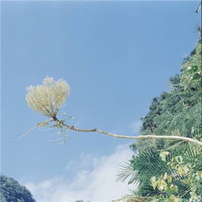 九游伊甸园的骄傲手游下载