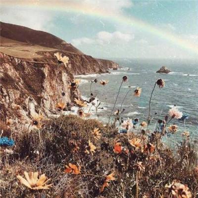航海大作战无限金币破解版下载
